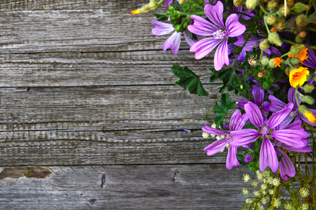 Spring and Summer Renovations